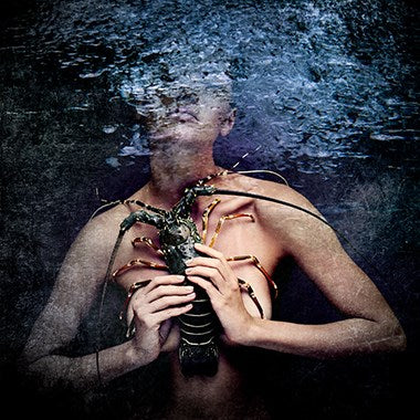 Foto Art - 'Day of the lobster'