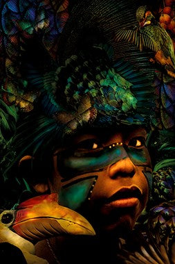 Foto Art - 'Emerald forest'