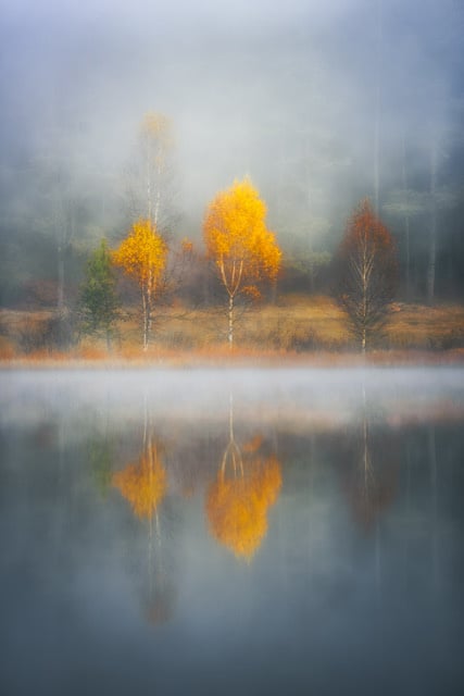 Frame of Autumn