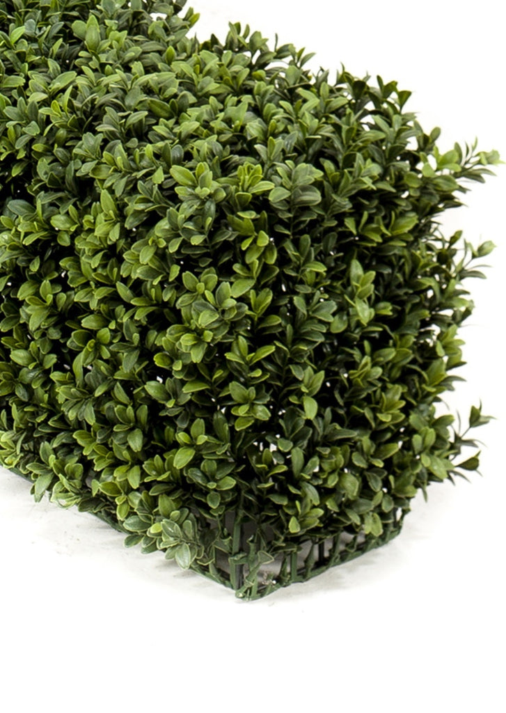 Buxushaag Groen 100x20x25 - UV