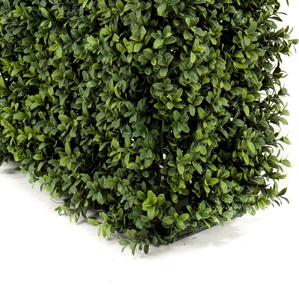 Buxushaag Groen 100x20x50 cm - UV