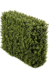 Buxushaag Groen 70x20x50 cm - UV