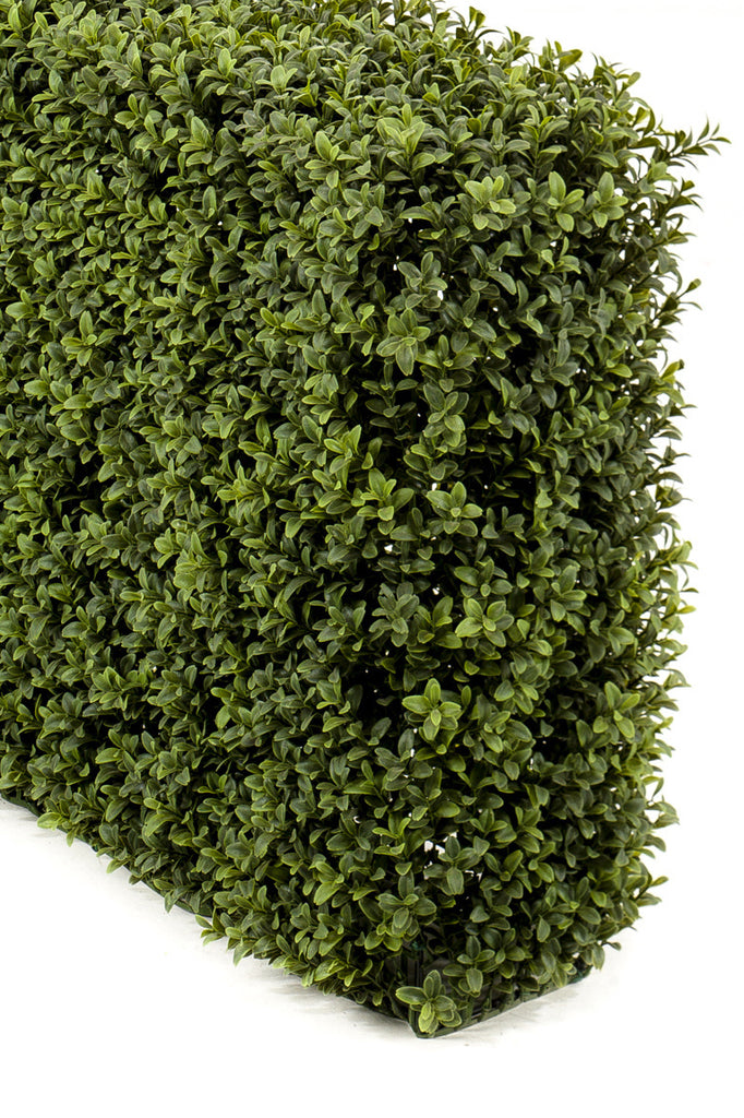 Buxushaag Groen 70x20x50 cm - UV