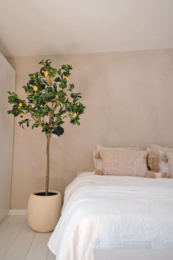 Citroenboom Groen | 180 cm