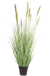 Grasplant Groen | 160 cm (set van 4)