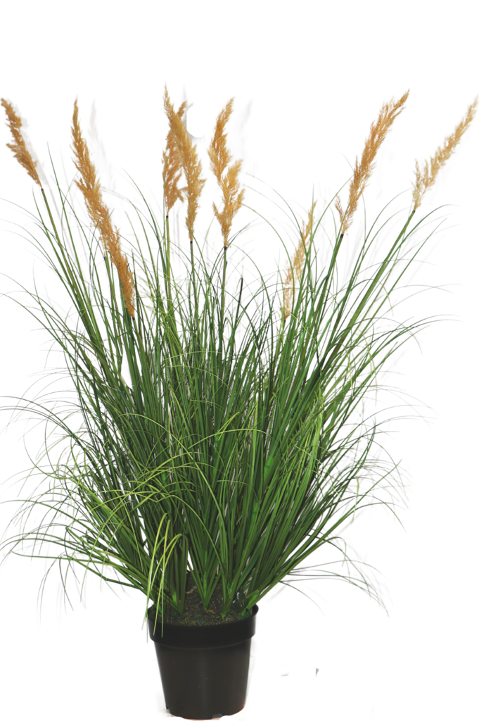 Kunst Grasplant Struisriet 80 cm