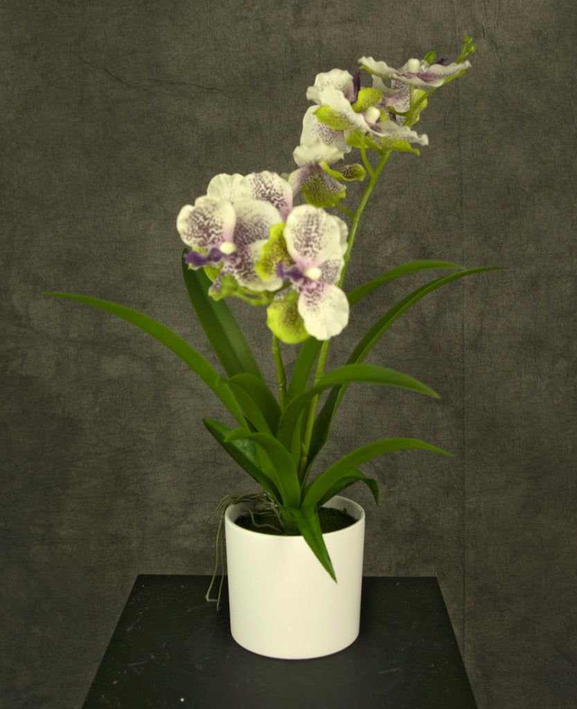 Kunst Orchidee 38 cm wit/paars in witte pot
