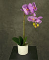 Kunstmatige orchidee van 42 cm in het roze, in een witte pot.