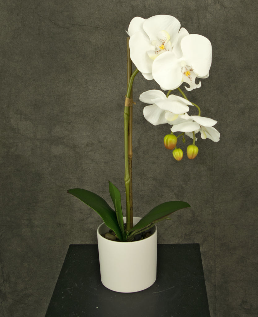 Kunst Orchidee 42 cm wit in witte pot
