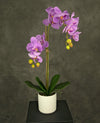 Kunstmatige orchidee van 52 cm in roze kleur in een witte pot.