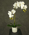 Kunstmatige Orchidee 52 cm wit in een witte pot