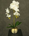 Kunst Orchidee 56 cm wit in gouden pot