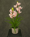 Kunstmatige Orchidee 58 cm roze in pot