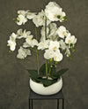 Kunst Orchidee 65 cm wit in witte schaal