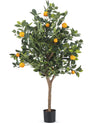 Sinaasappelboom Groen | 120 cm