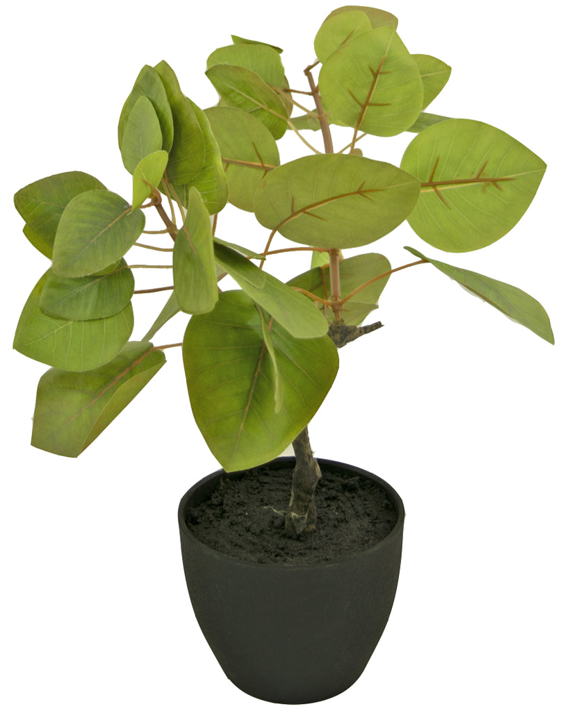 Kunst Tropica Ficus 12 cm in sierpot zwart