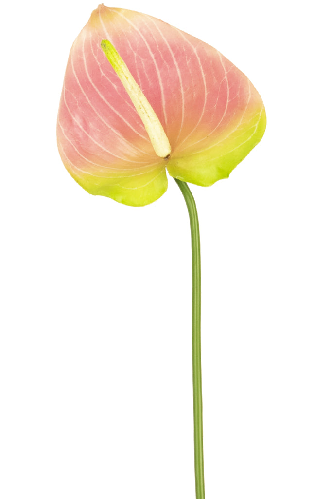 Kunstbloem Anthurium 65 cm groen/roze