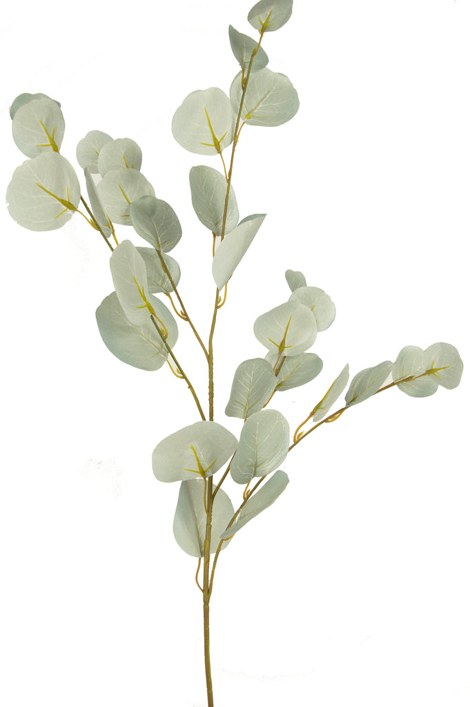 Kunstbloem Eucalyptus Yugali 74 cm