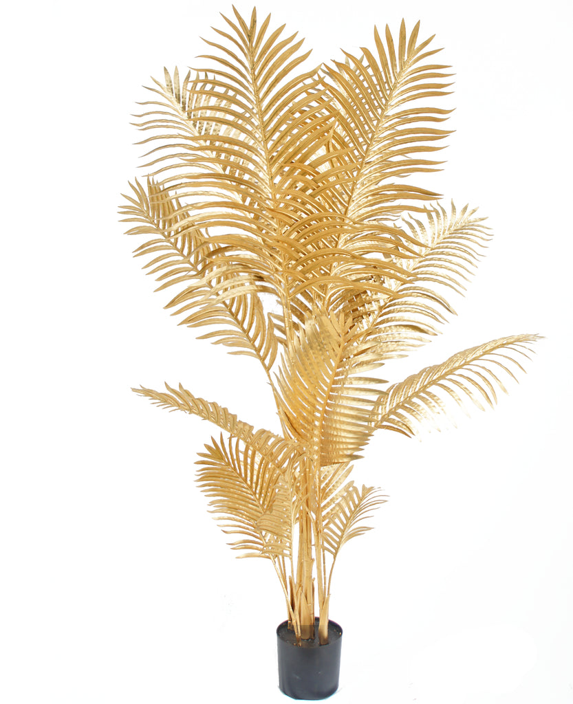 Palm Areca Goud | 160 cm