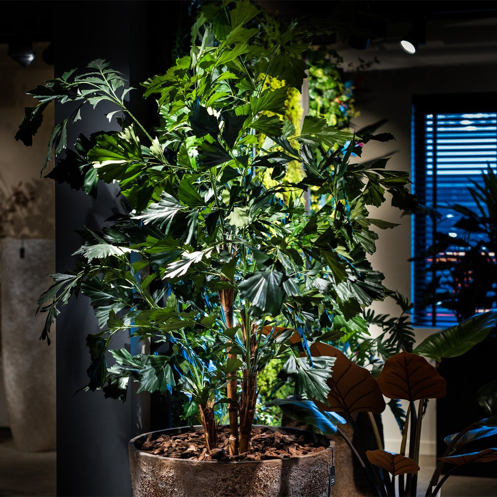 Kunstplant Palm Fishtail XL - H190