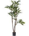 Palm Parlour Deluxe Groen | 150 cm