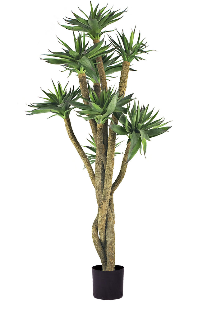 Agave Tree | 105 cm