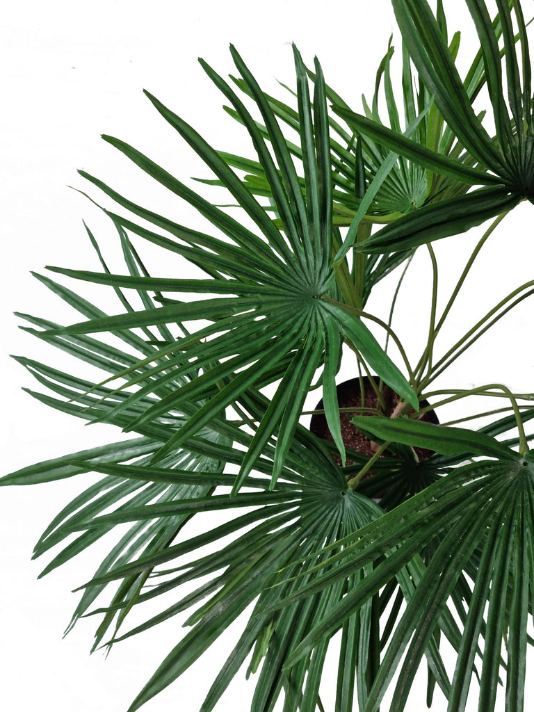 Kunstplant Baby Palm Fan in pot 50 cm