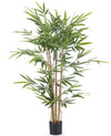 Bamboe Groen | 120 cm