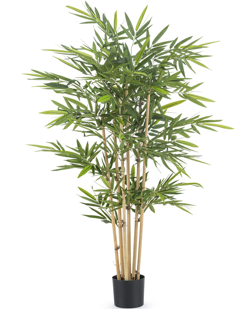 Bamboe Groen | 150 cm