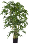 Bamboe Groen | 180 cm
