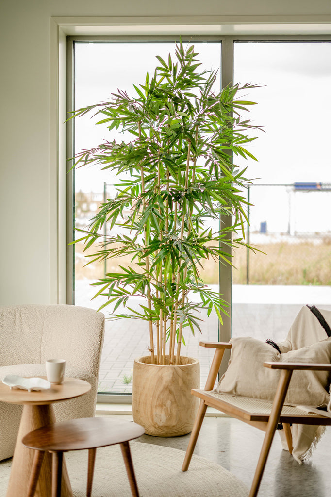 Bamboe Groen | 210 cm