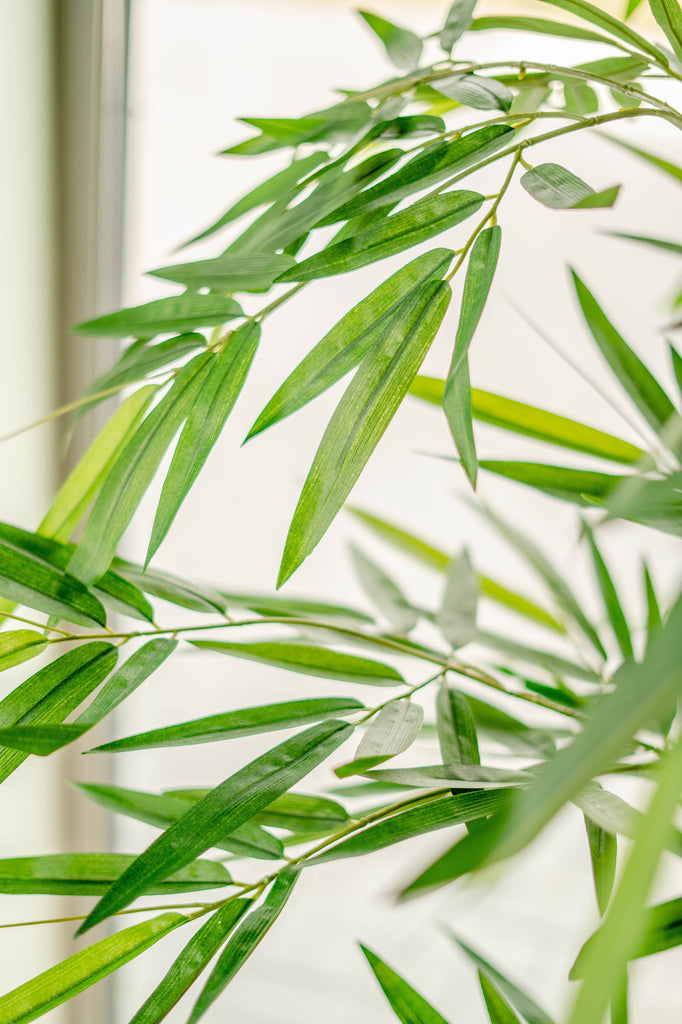Bamboe Groen | 210 cm