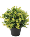 Kunstplant Buxus geel 22 cm UV