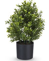 Kunstplant buxus mini 36 cm in pot UV