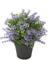 Kunstplant Buxus paars 22 cm UV