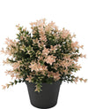 Kunstplant Buxus roze 22 cm UV