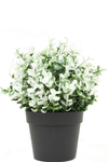 Kunstplant Buxus wit in pot UV