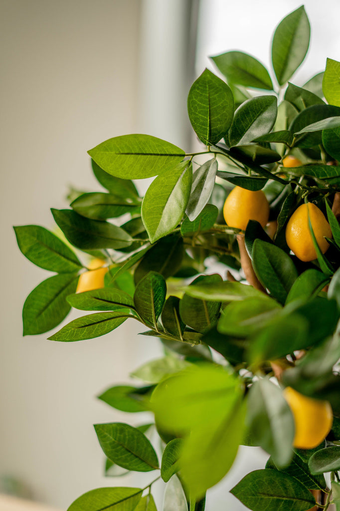Kunstplant citroenboom 75 cm
