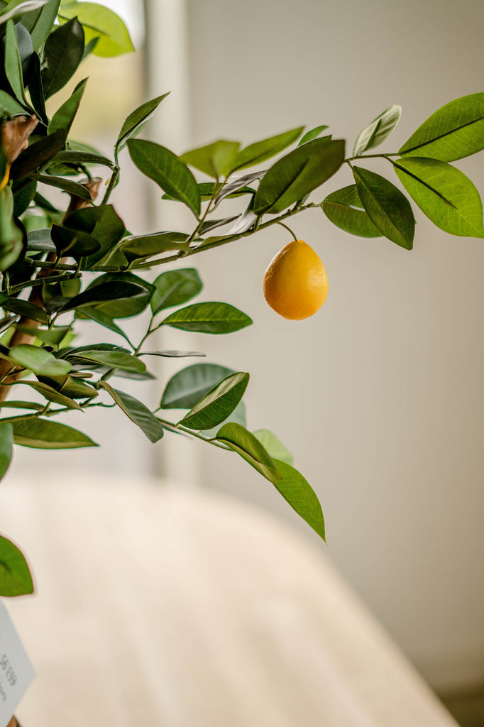 Kunstplant citroenboom 75 cm
