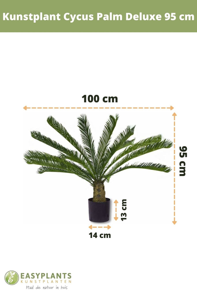 Palm Cycus Deluxe | 95 cm