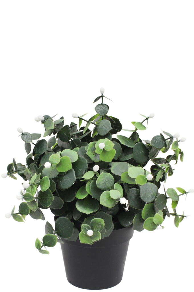 Kunstplant Eucalyptus wit in pot UV