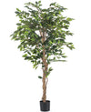 Ficus Groen | 180 cm