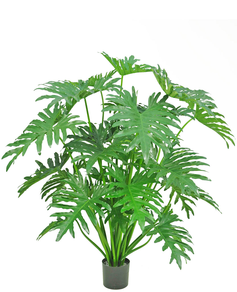 Philodendron Groen | 125 cm