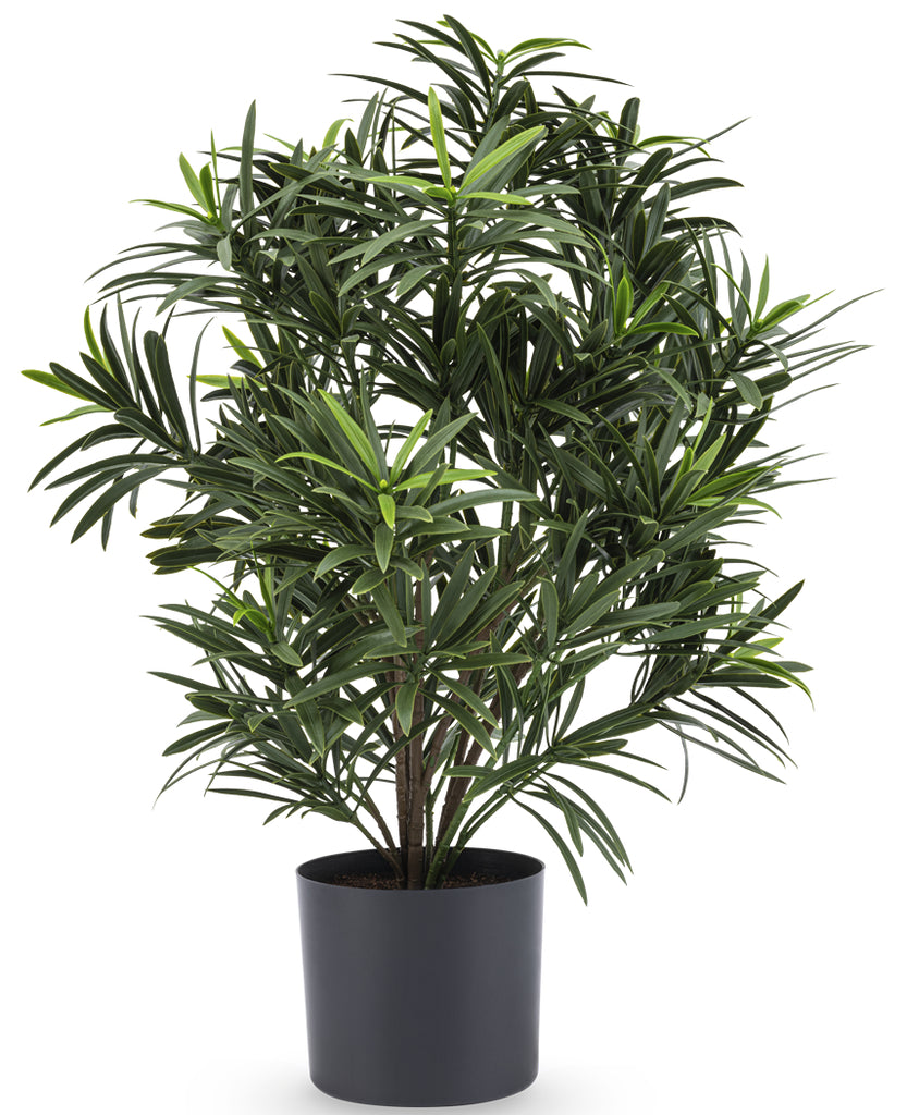 Kunstplant Podocarpus 47 cm