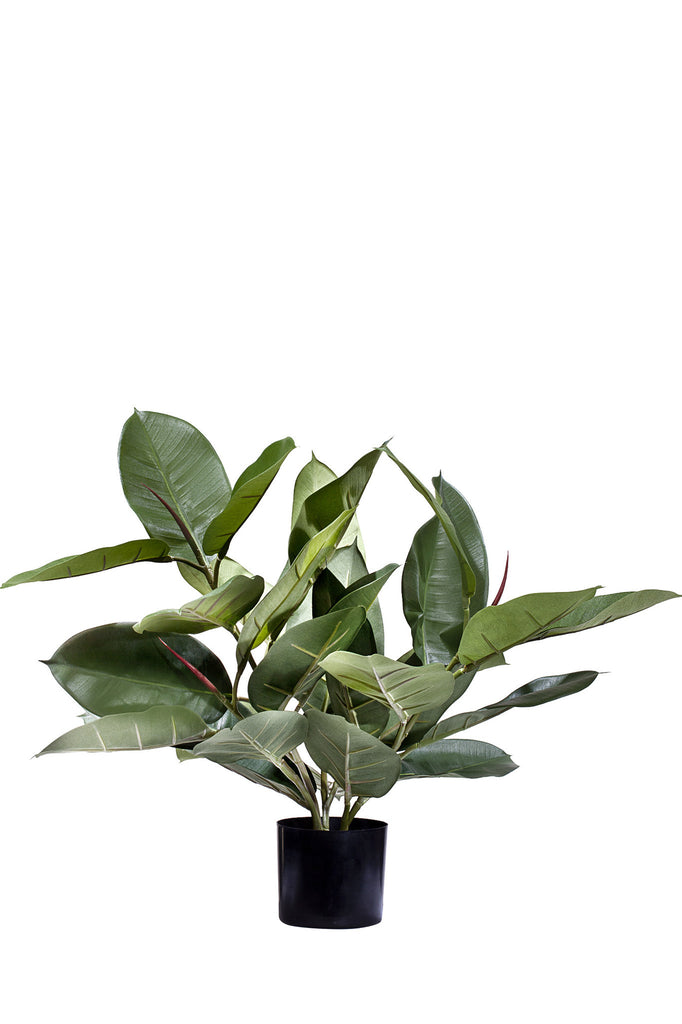 Kunstplant Rubberplant 51 cm
