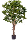 Schefflera Groen | 120 cm