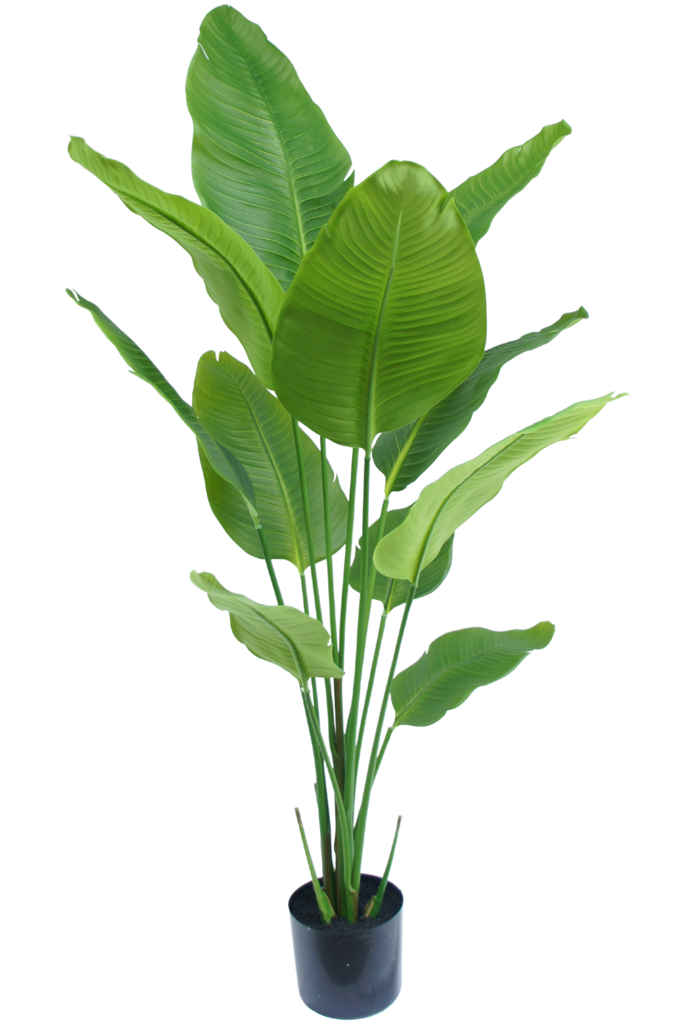 Kunstplant Strelitzia | 150 cm