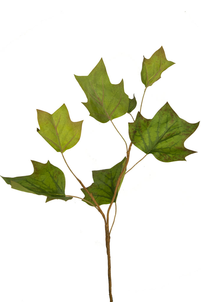 Kunsttak Tulpenblad 84 cm groen