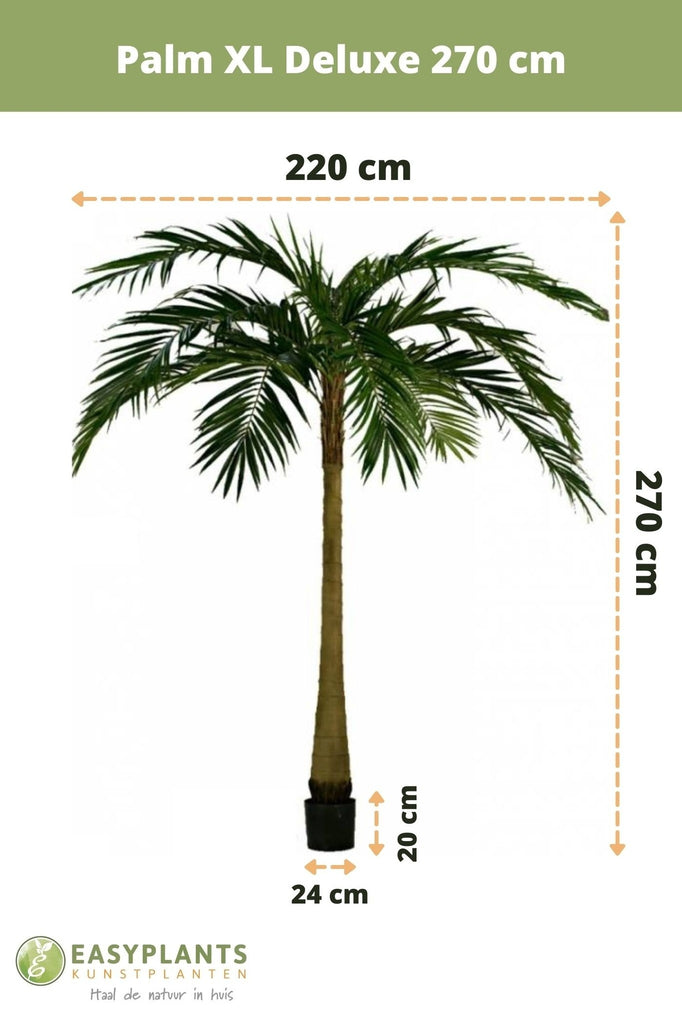 Palm XL Deluxe | 270 cm