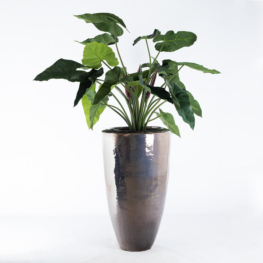 Plant Philodendron XL - Groen - H120